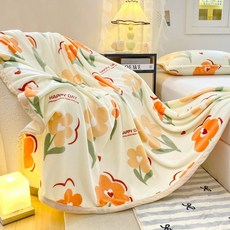 앨오앤지 가성비 좋은 고밀도 양면 극세사 밍크 담요