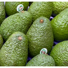 슬로우픽커 항공직송 프리미엄 아보카도 생과 싱싱, 2개, 중소과(160g내외)