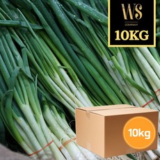 중국산 대파 10kg 대용량업소용 대파, 1개