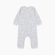 압소바 포레 내의 A2A10309