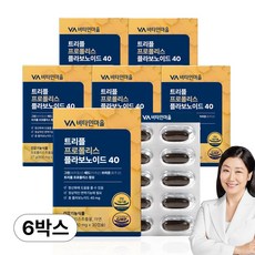 비타민마을 트리플 프로폴리스 플라보노이드 40mg, 6개, 30정