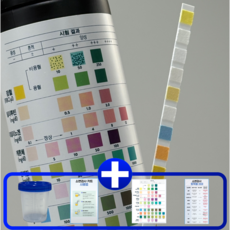 소변검사키트 혈뇨 소변검사스틱 단백뇨 잠혈 거품뇨 방광염 잔뇨 (애보트 10종), 1개, 100매
