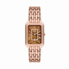 FOSSIL Raquel 復古女伶 棕影流光 羅馬數字女錶 玫瑰金 26MM （ES5323）