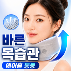 포베즈 에어홀 바른넥 6세대 쿠션형 목보호대 통풍형, 1개