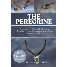 (영문도서)The Peregrine: A Journey Through the Life Ecology and Conservation of the Pere... Paperback, Independently Published, English, 9798298658805