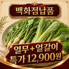 열무 얼갈이 김치재료 세트 생열무 얼갈이배추 국내산 제철채소 한박스 1kg 2kg 3kg 4kg, 1박스, 열무 1kg + 얼갈이 2kg