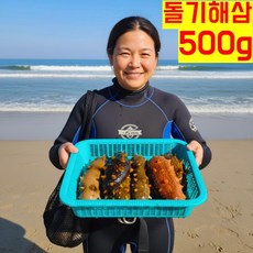 동해 돌기해삼 자연산 제철 해삼, 1개, 500g(1-3미)