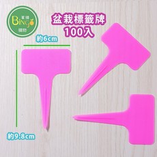 賓購 加厚盆栽植物標籤100入 T字植物名牌 多肉植物名牌 花牌 種苗標籤 植物辨識標籤, 粉色加厚T型, 粉色加厚T型