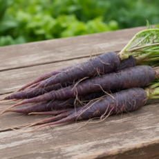 산지직송 국내산 여주 자색당근, 1박스, 500g