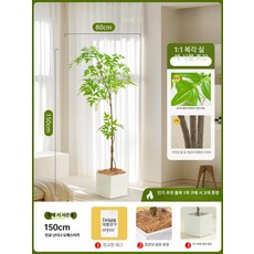 인조나무 실내 가정용 가든 거실 조화화분 카페 식물, 1.5m 난디나 기본에디션 +사각 화분