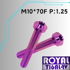 【瘋螺絲】ROYAL M10*70F P:1.25 飛碟頭型螺絲 64鈦/鈦合金螺絲 出貨附發票 皇家紫, 1個