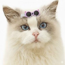 모디홈 애견머리핀 강아지 헤어핀 고양이 포인트 미간핀, 1개, 바이올렛