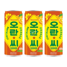 오란씨 오렌지 250ml, 20개