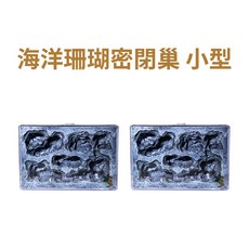 螞蟻帝國繽紛海底-海洋珊瑚石膏巢：密閉小型連接式立體蟻巢，打造繽紛螞蟻帝國, 1個