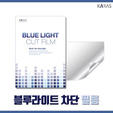 에이수스 TUF Dash F15 FX517ZE 블루라이트차단필름K jl3*7360Mh, 캣츠바바 1