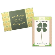 럭키심볼 행운의 선물 카드세트 행운의 네잎클로버 생화 코팅카드 + 봉투, 1개, 8세트