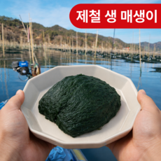 [백화점라인] 완도 장흥 햇 매생이 찰매생이, 2개, 350g