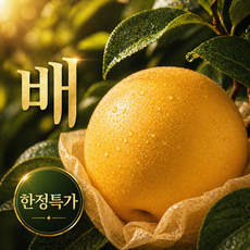 [파격할인] 산지직송 당도선별 나주 신고배 특상, 1박스, 5kg