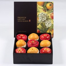 국내산 제철과일 사과 배 과일 선물세트 특품 5kg, 1개