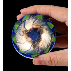 단품 구성 배틀 회전 팽이, 검정