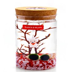 미쥬 LED 유리병 마리모꾸미기