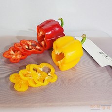 라이브장터 일회용 도마시트 일회용종이도마시트, 24cm