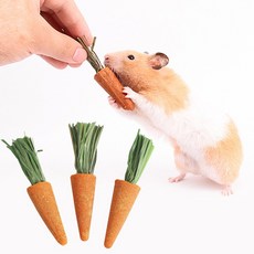 햄스터 간식 당근 이갈이 장난감 토끼 기니피그, 3p 완품, 1개, 15g