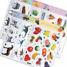 모양 고무자석 285X220MM 3T 7종 택1 과일자석 교육용자석, 탈것, 1개