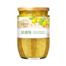복음자리 모과차, 480g, 1개입, 1개
