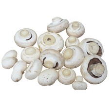 흰색양송이 /갈색양송이 1kg외, 1개, 흰색양송이 파지 2kg