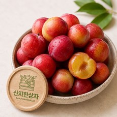여름제철 과즙가득 정성선별 산지직송 자두, 1박스, 가정용 1kg