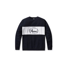 폴햄 남성 더블니트 블록 오버핏 맨투맨 PHF1TR1030 CTB101 TUI694