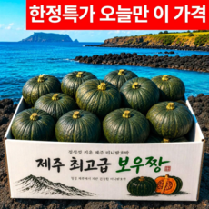 [마지막초특가] 제주 미니 밤호박 보우짱, 1박스, 3kg (정품)
