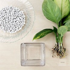 아이서 유리 화병 10x10x20cm 유리꽃병