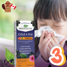 키즈 면역력 높이는 몸살 독감 감기 에키네시아 추출물 엘더베리 효능 액상 영양제 120ml 3병 캐나다, 3개