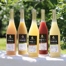 야마시타야 소우스케 과즙 100% 과일 주스 세트 5종 선물 세트 (500ml ×5병 / 신슈산 / 상온 / 사과 복숭아 배 프룬 왕린) (연말선물/선물) 주스 시음 세트 (국산)