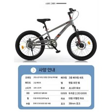 PHOENIX 초등학생 자전거 디스크브레이크 싱글 스피드 산악자전거 로드자전거 16 18 20 22인치, 16인치, 그레이