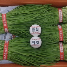 클릭마켓 국내산 정구지 초벌 부추 전 김치 즙 용, 1개