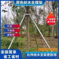 樹木支撐固定器鋼管支撐架 園林綠化大樹支撐桿 穩固耐用防傾斜, 1個, 原色1.5米32管1.2壁厚三根支撐