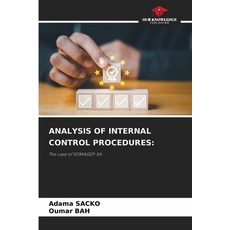 (영문도서) Analysis of Internal Control Procedures Paperback, Our Knowledge Publishing, English, 9786208347383