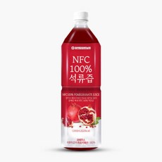 참앤들황토농원 NFC 착즙원액 석류즙, 1L, 1개
