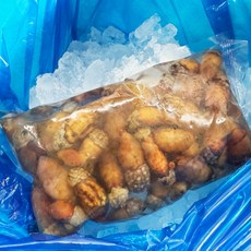 훈이수산 제철 생물 깐미더덕 500g 참미더덕회, 1개, 급냉) 미더덕 500g