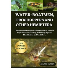 (영문도서)Water-Boatmen Froghoppers and Other Hemiptera: Understanding Hemiptera: From Ci... Paperback, Independently Published, English, 9798289530837