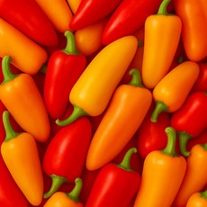 산지직송 뉴다온 미니 파프리카 빨강 노랑 주황 지지팜 농장, 혼합 1kg, 1박스, 1kg