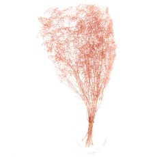 [데코몰] 프리저브드 플라워 미니 안개, 클라우드핑크