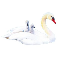 卡哇伊水彩：48幅可愛動物水彩畫教學 親繪示範 輕鬆學會水彩技巧, 北星圖書事業股份有限公司, 塗塗貓