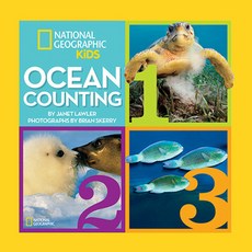 Ocean Counting Hardcover, National Geographic Kids, English, 9781426311161
