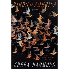 (영문도서)Birds of America: Poems Paperback, Dial Press, English, 9780593980033