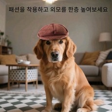 Lavitree강아지 고양이 귀여운 베레모, 1개, A