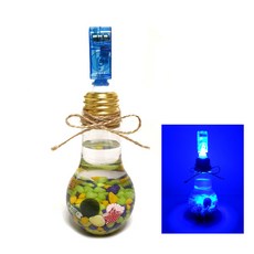 [1+1] 실속 고급 마리모 키우기 전구 조명 어항 만들기 키트 재료 DIY 세트 어린이집 복지관 행사